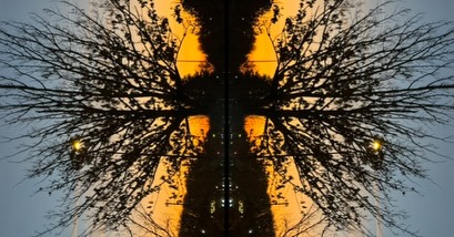 Kaleidoscopic sunset tree silhouette