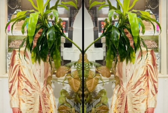 Mirrored plant in warm tones