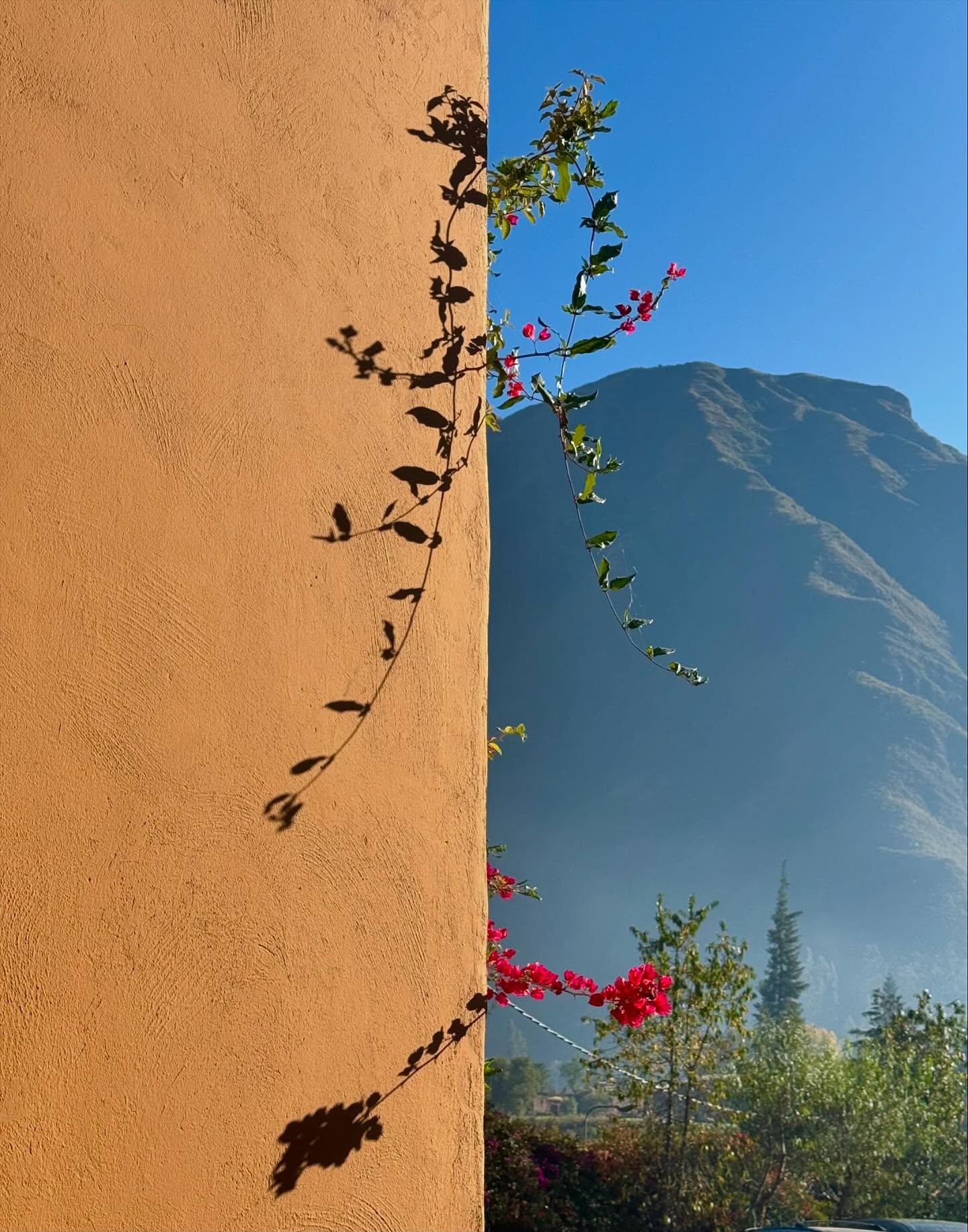 Orange stucco wall, bougainvillea, Peruvian mountain